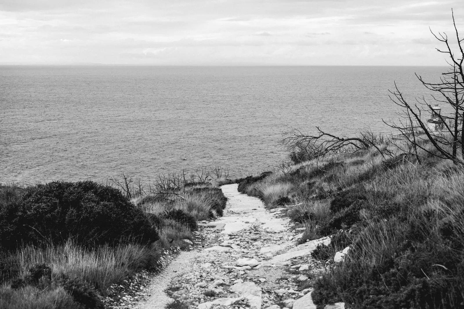 Footpath down to the sea through scrub