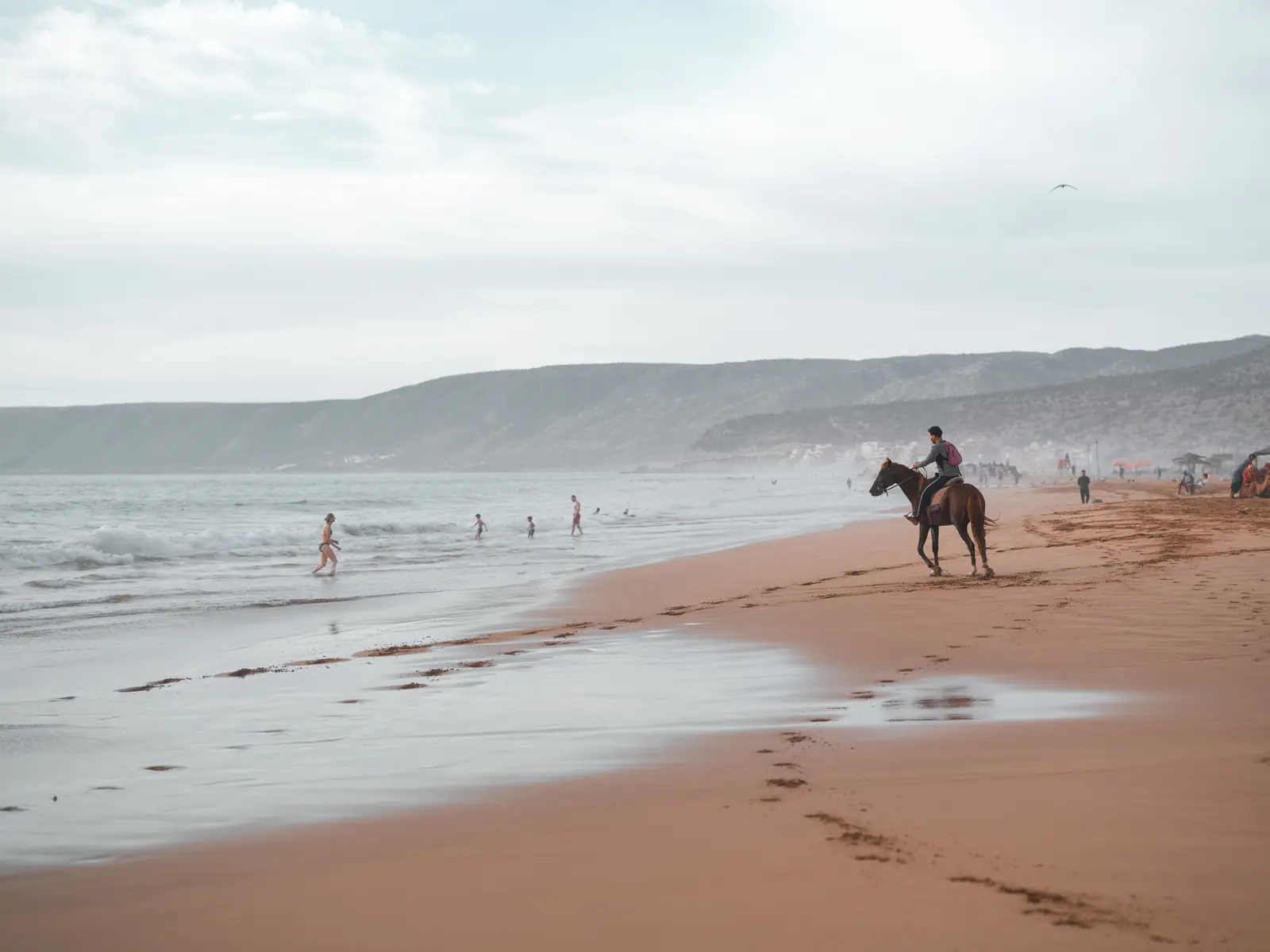 Rider on horseback along the beach